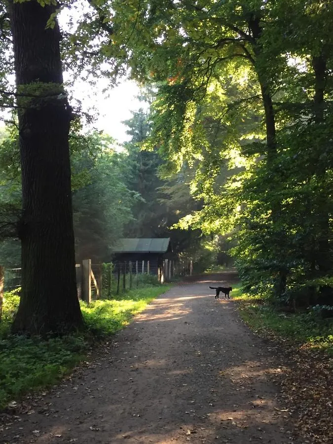Hannover List 2 Bedroom Home Away From Home